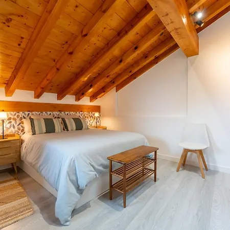 Apartment Spacious Renovated House In *