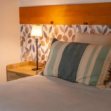 Spacious Renovated House In