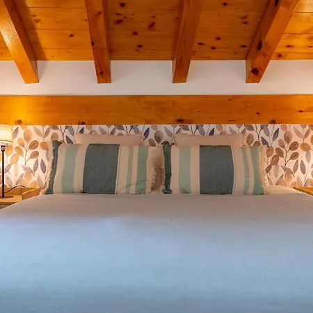 Spacious Renovated House In